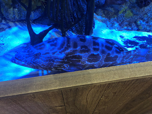 Aquarium «The River Center», reviews and photos, 805 US-1, Jupiter, FL 33477, USA