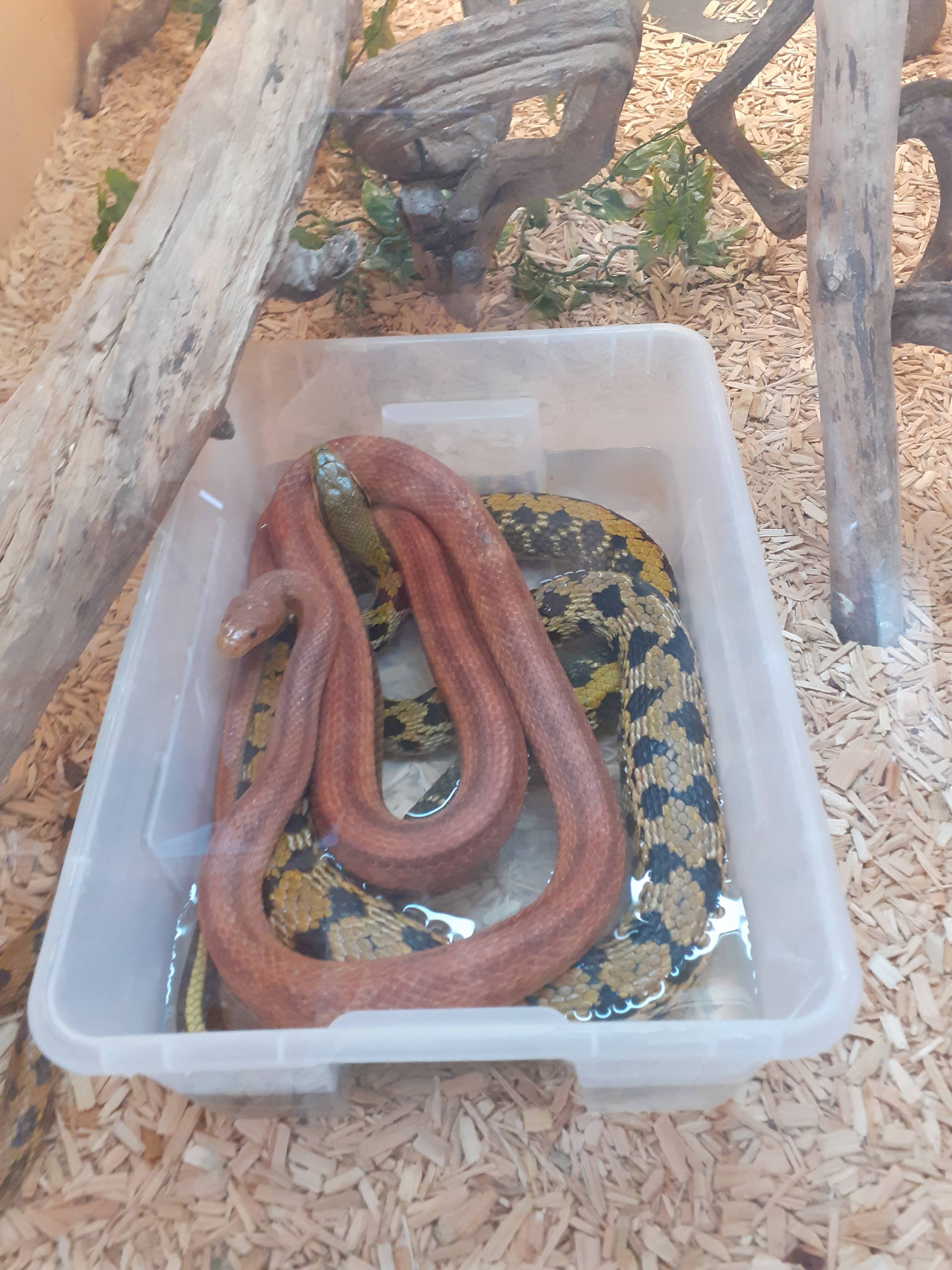 Photo n° 16 de l'avis de valjeux. fait le 26/07/2022 à 11:30