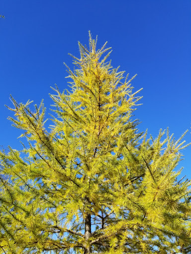 Nature Preserve «Westwood Hills Nature Center», reviews and photos, 8300 W Franklin Ave, St Louis Park, MN 55426, USA