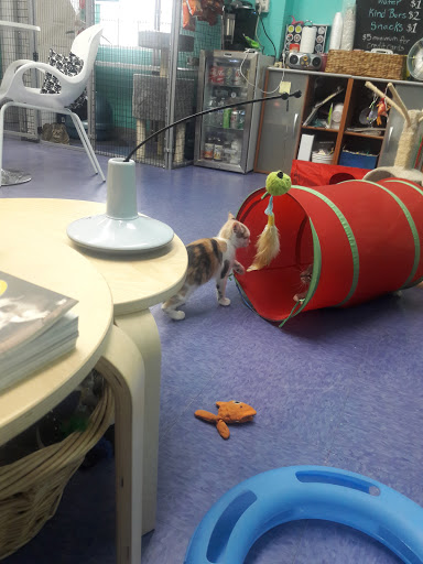 Thrift Store «Boomerangs Thrift Store», reviews and photos, 2365 Wilton Dr, Wilton Manors, FL 33305, USA