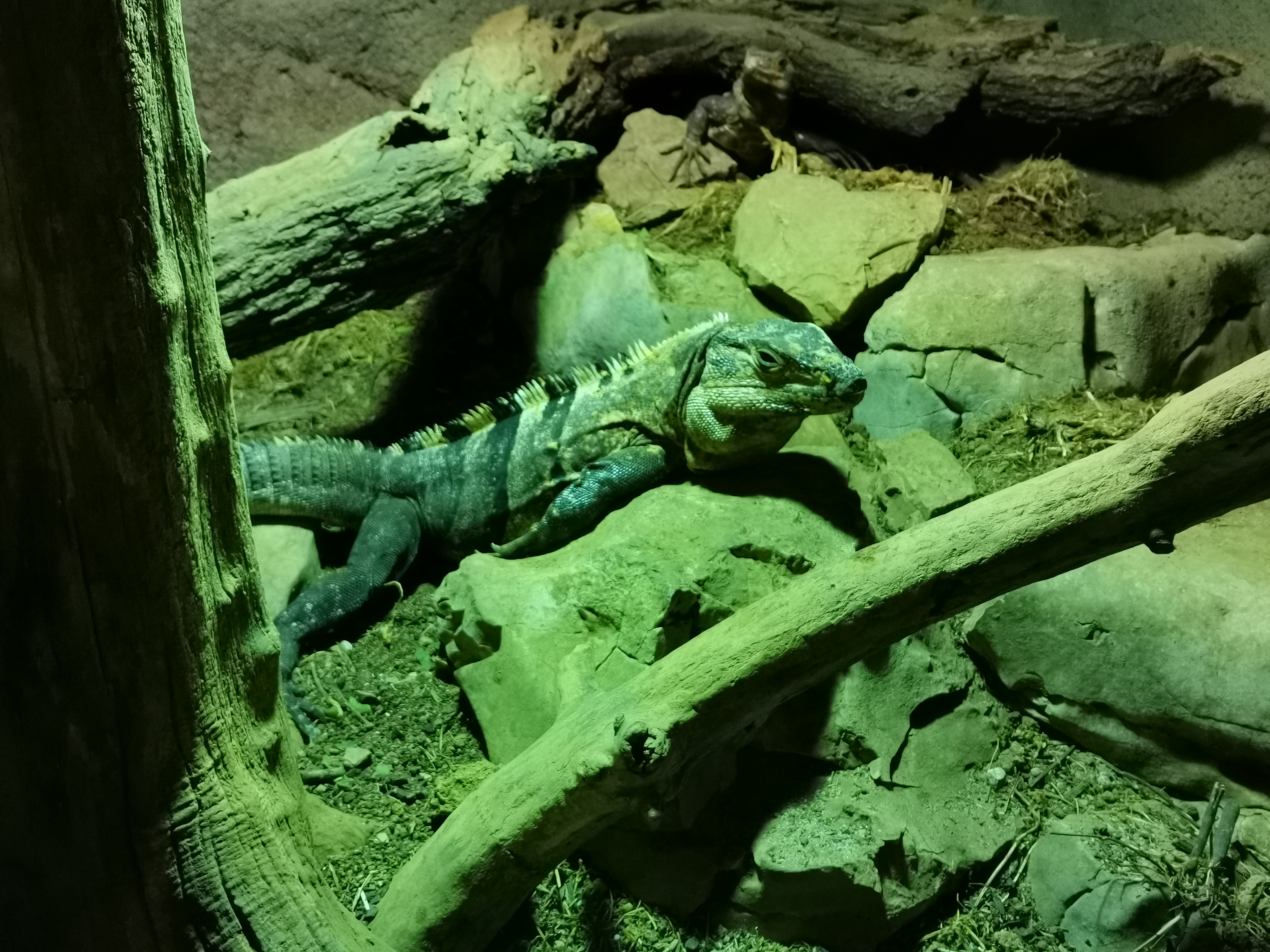 Photo n° 10 de l'avis de Jerome.a fait le 23/10/2021 à 18:04