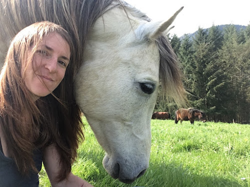 Centre de formation Cheval Plaine Conscience Curvalle