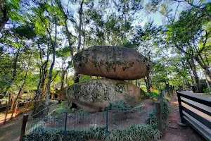 Parque Municipal da Pedra Montada image