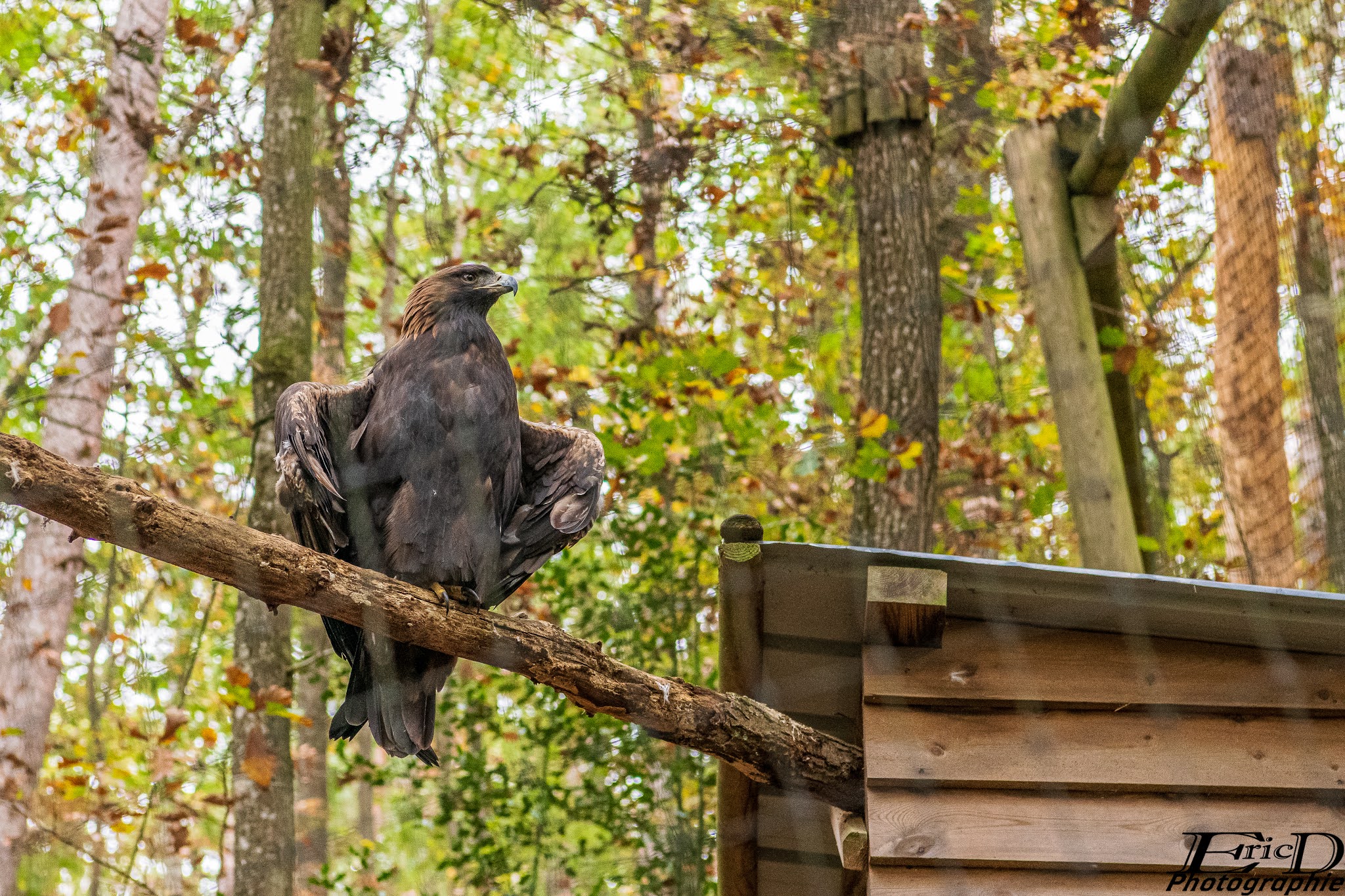 Photo n° 6 de l'avis de Ricou.H fait le 28/10/2020 à 16:42