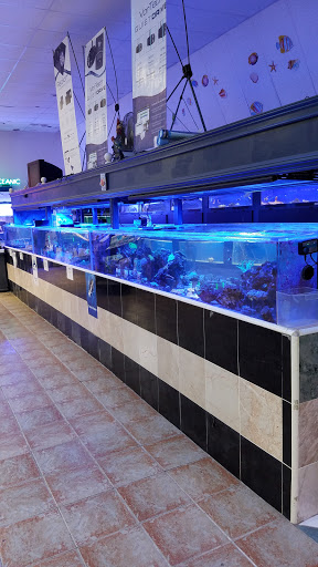 Pet Store «Aqua Workz Aquarium», reviews and photos, 8125 Belvedere Ave, Sacramento, CA 95826, USA