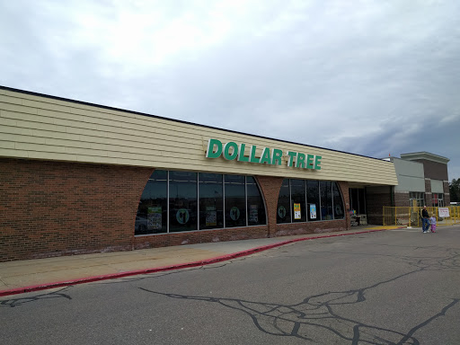 Dollar Store «Dollar Tree», reviews and photos, 325 Mall Dr, Portage, MI 49024, USA