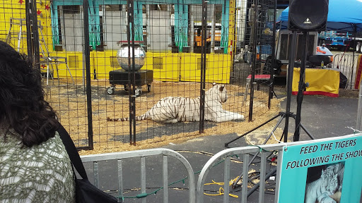 Supermarket «Tops», reviews and photos, 6363 Transit Rd, Depew, NY 14043, USA