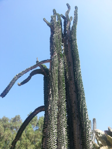 Los Angeles County Arboretum image