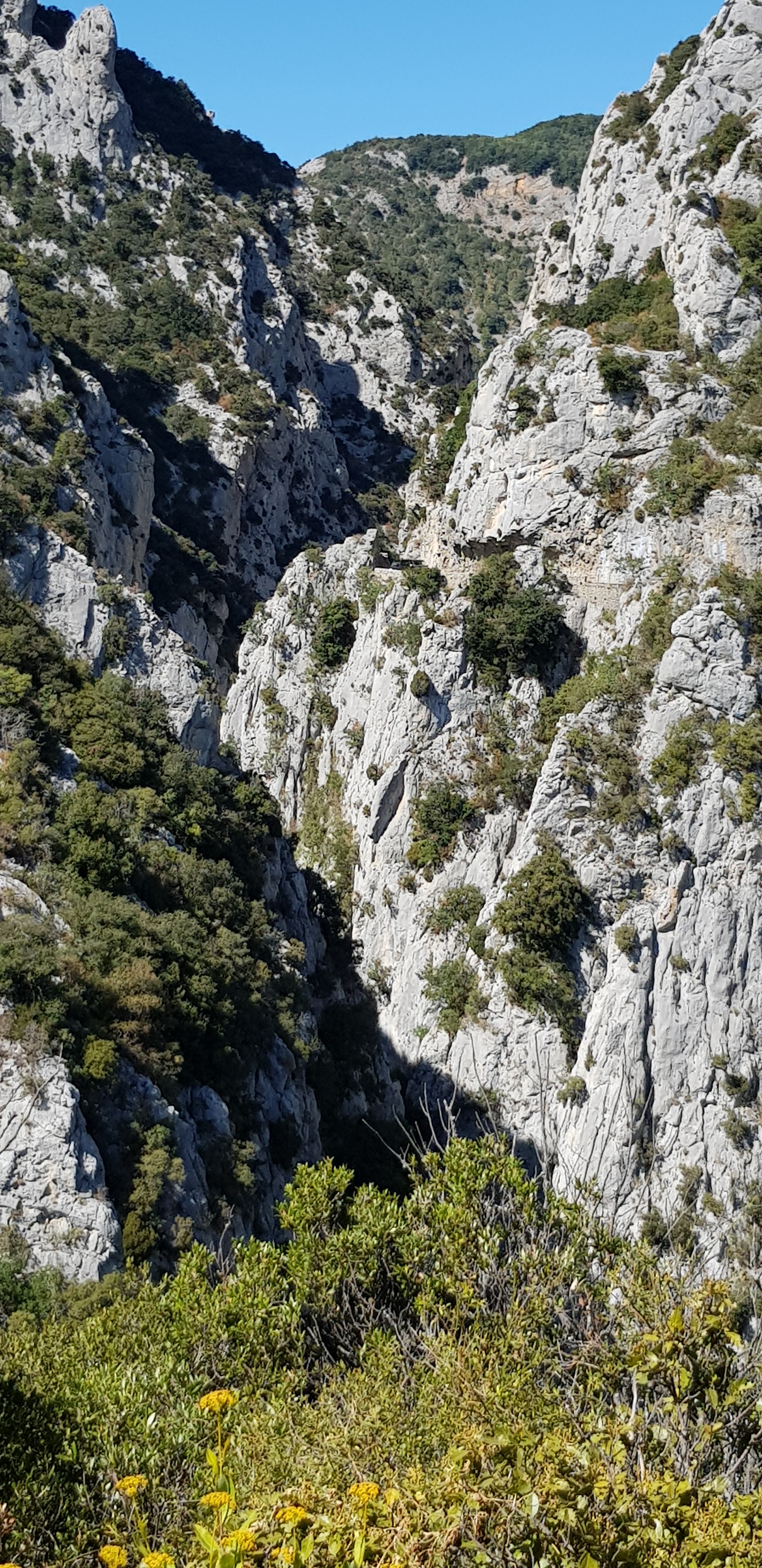 Photo n° 4 de l'avis de Dom.o fait le 06/09/2019 à 15:57