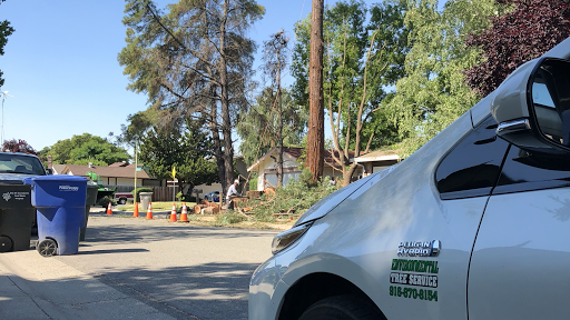 Tree Service Of Sacramento - Environmental Tree Service, Tree Removal, Tree Trimming, Stump Removal
