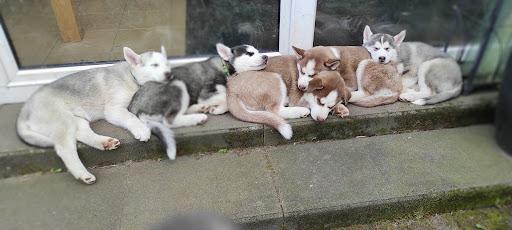 Dr.med.vet. Beate Stolz unter Hennef, Rheinland-Pfalz