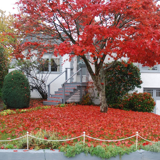 Real Estate Agency «CENTURY 21 Sakmar & Associates», reviews and photos, 129 E University Dr, Rochester, MI 48307, USA