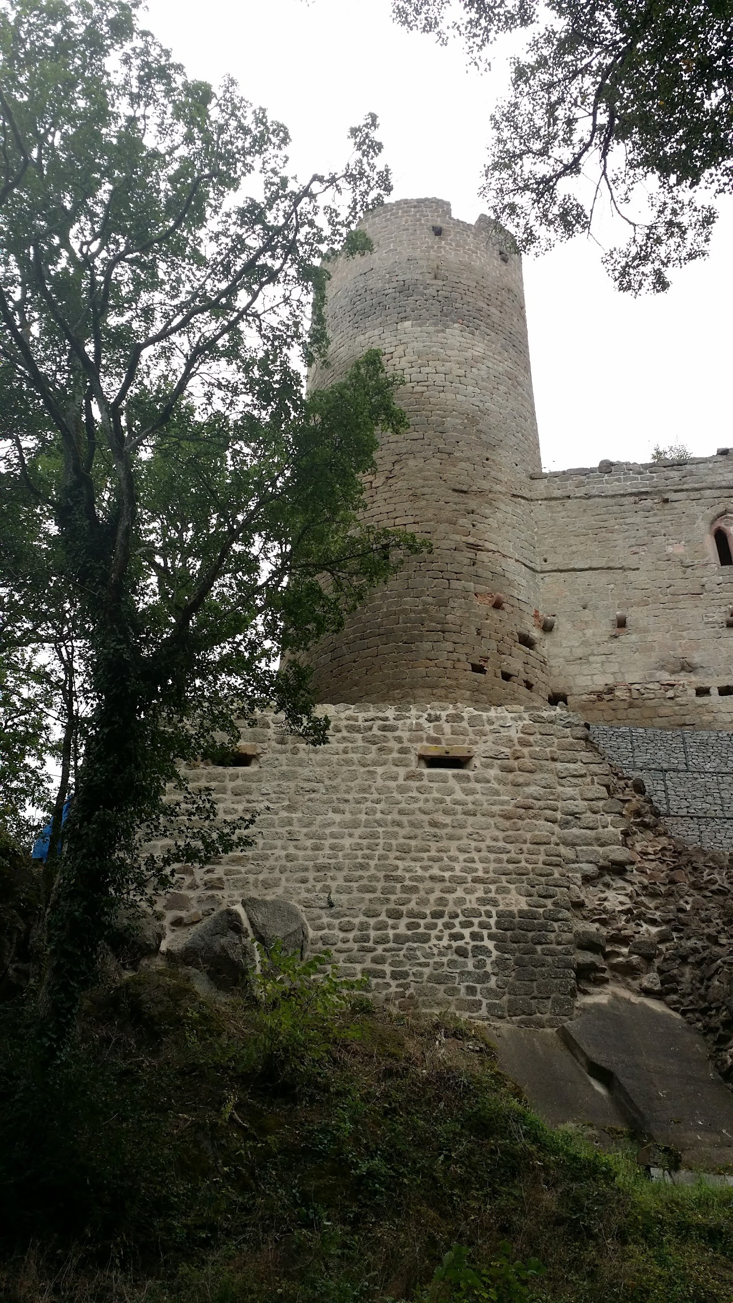 Photo n° 2 de l'avis de Pascal.C fait le 17/09/2017 à 13:04