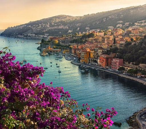 Travel Agency «Lugos Travel Incorporated», reviews and photos, 3825 Florida Ave S #2, Lakeland, FL 33813, USA