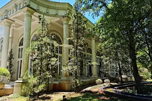 Termas De Jurema image