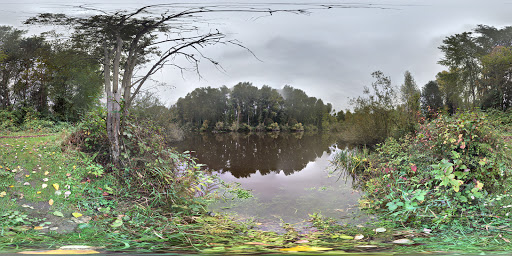 Nature Preserve «Black River Riparian Forest and Wetland», reviews and photos, Oakesdale Ave SW, Renton, WA 98057, USA