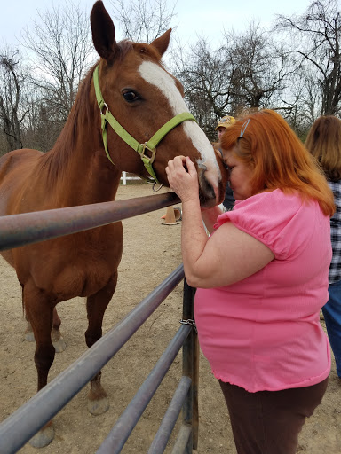 Horse rental service Dayton