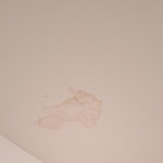 Photo n°2 de l'avis de Sascha.u fait le 08/01/2019 à 21:29 sur le  Gothmann's Hotel à Breitenfelde