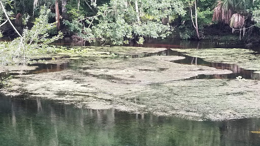 Nature Preserve «Crystal Springs Preserve», reviews and photos, 1609 Crystal Springs Rd, Crystal Springs, FL 33524, USA