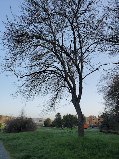 Park «Genesee Park and Playfield», reviews and photos, 4316 S Genesee St, Seattle, WA 98118, USA