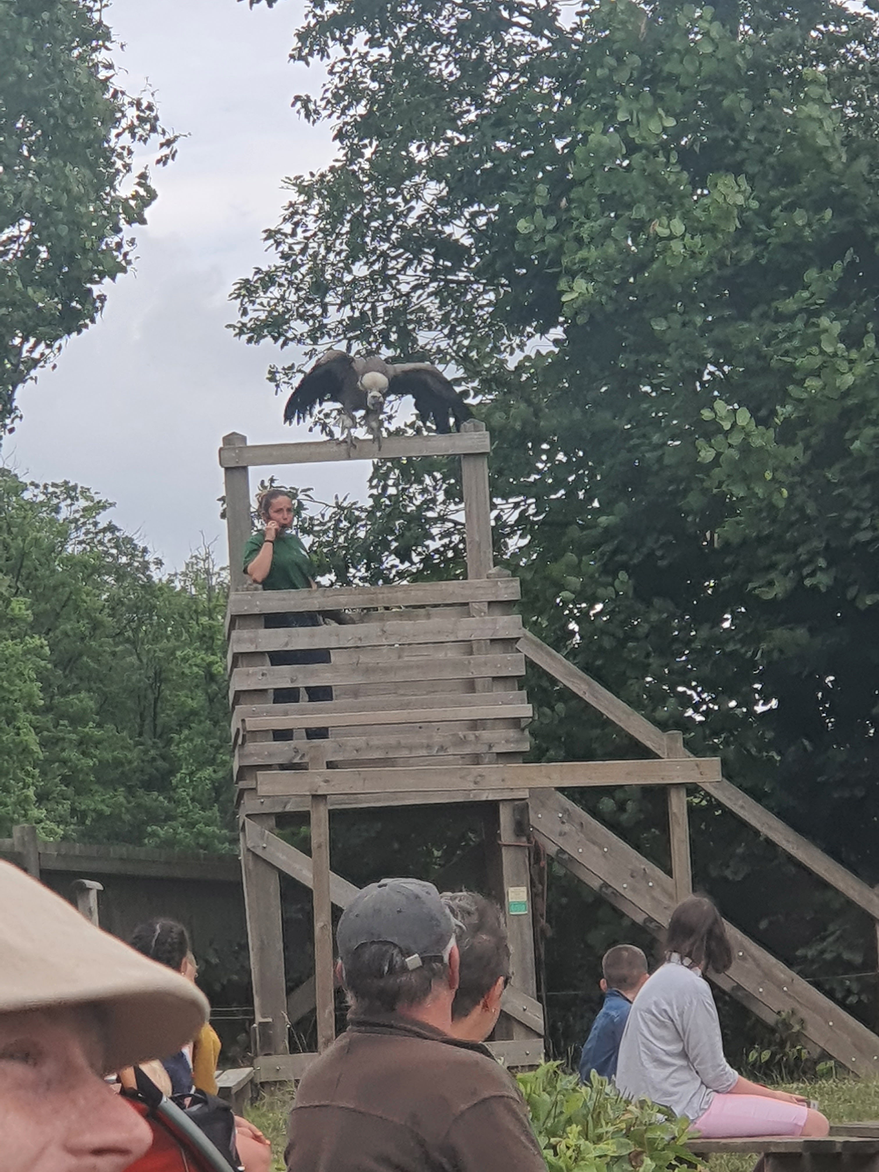 Photo n° 2 de l'avis de Mickael.e fait le 15/07/2023 à 13:18