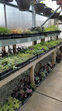 Urban Trail Gardens - Photo 4 - Car repair in Lincoln, NE, Lincoln