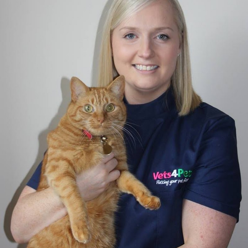 Vets4Pets - Pollokshaws