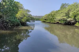 Wadekar Kaka Kandalvan Safari, Mangrove Safari Malvan image