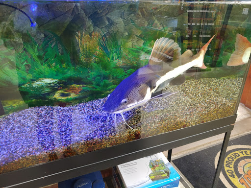 Pet Store «Just Pets», reviews and photos, 393 NY-5, Irving, NY 14081, USA