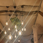 Photo n°12 de l'avis de Cátia.r fait le 06/04/2024 à 13:57 sur le  Tasco da Ilda By Cook2WINE à Azambuja