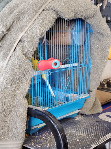 Auto Repair Shop «City Tech Auto Repair», reviews and photos, 8419 Garvey Ave, Rosemead, CA 91770, USA