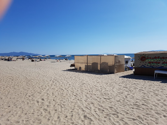 Professors beach