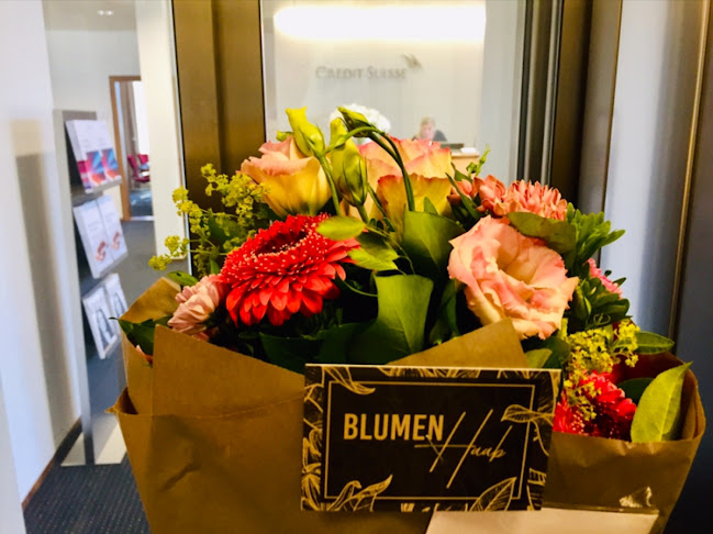 blumenhaab.ch