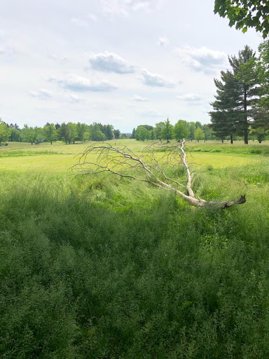 Golf Course «Highland Park Golf Course», reviews and photos, 3550 Green Rd, Highland Hills, OH 44122, USA