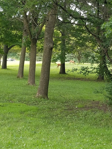 Golf Course «Dretzka Park Golf Course», reviews and photos, 12020 W Bradley Rd, Milwaukee, WI 53224, USA