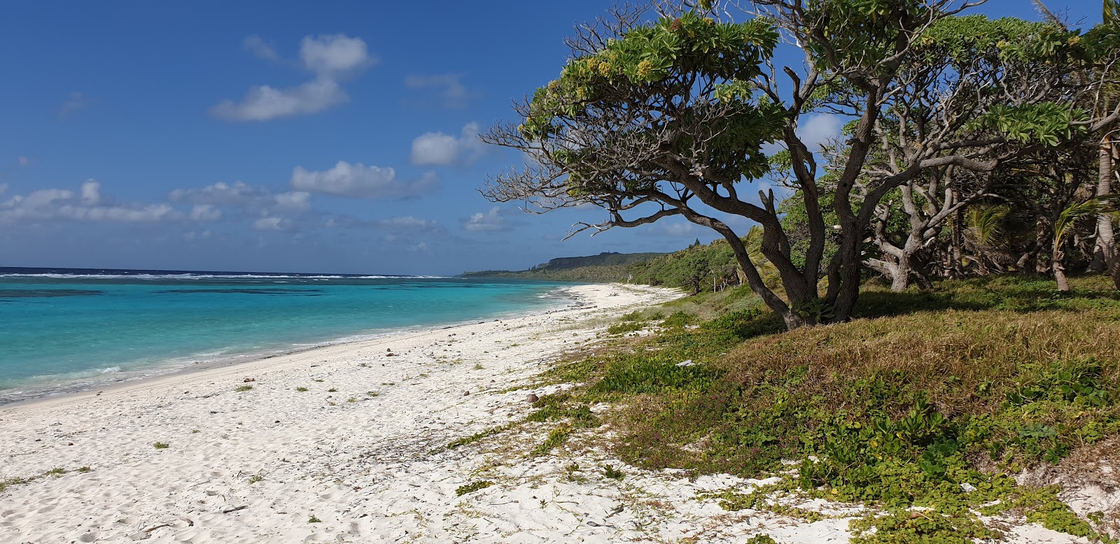 Foto de Patho Beach área selvagem