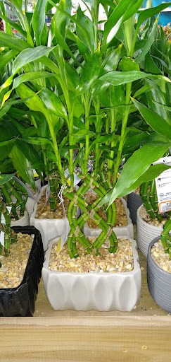 Home Improvement Store «The Home Depot», reviews and photos, 7001 Crestwood Blvd #1300, Birmingham, AL 35210, USA