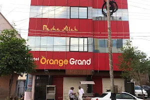 Hotel Orange Grand image