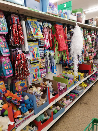 Dollar Store «Dollar Tree», reviews and photos, 918 E New York St #130, Aurora, IL 60505, USA