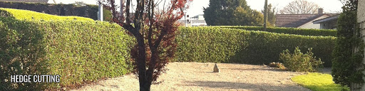 Garden Maintenance Tramore