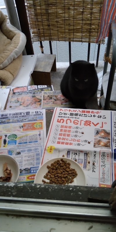 ハクジュプラザ都島店