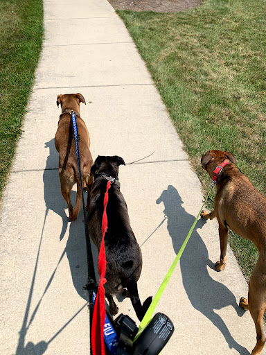 Nature Preserve «Schweitzer Woods Forest Preserve», reviews and photos, 16N690 Sleepy Hollow Rd, West Dundee, IL 60118, USA