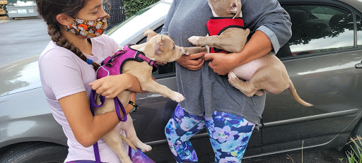 Pet Supply Store «Pet Club Santa Rosa», reviews and photos, 1935 Santa Rosa Ave, Santa Rosa, CA 95407, USA