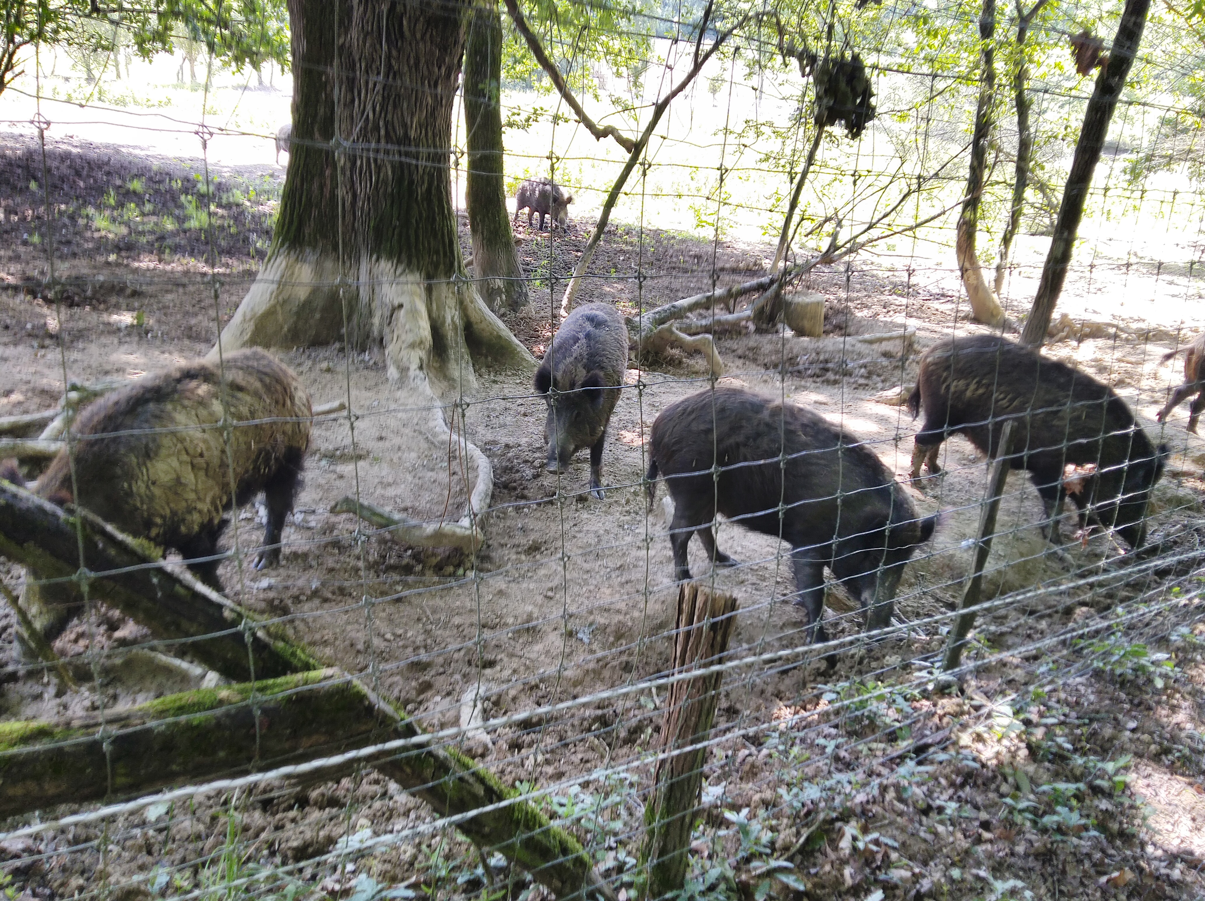 Photo n° 1 de l'avis de Sylvia.o fait le 22/05/2020 à 14:08