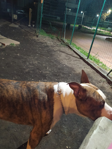 Dog Park San Gregorio