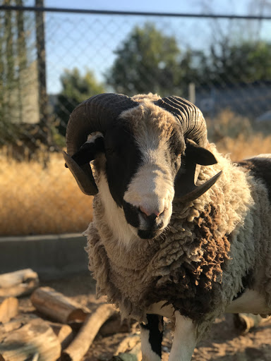 Cascade Garden Farms