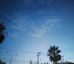 VILLA DEL ALAMO Park photo