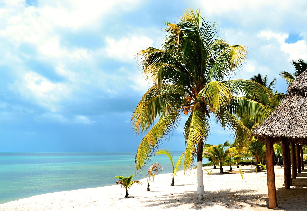 Foto van Champoton beach met recht en lang