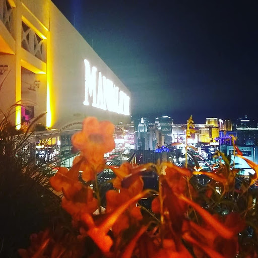 Lounge «Foundation Room Las Vegas», reviews and photos, 3950 S Las