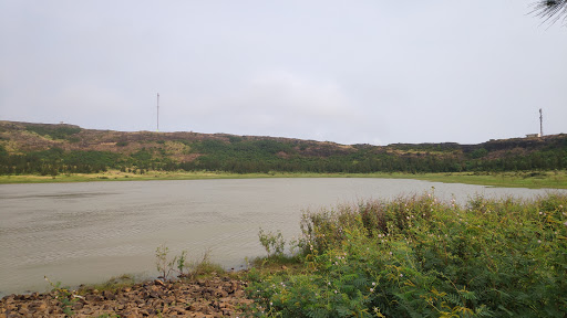 Top 20 cửa hàng akemi Huyện Lý Sơn Quảng Ngãi 2022